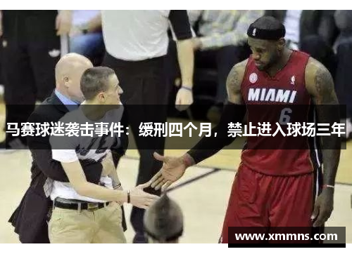 马赛球迷袭击事件：缓刑四个月，禁止进入球场三年